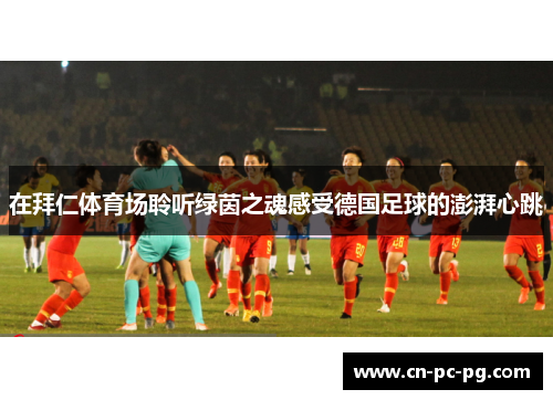 在拜仁体育场聆听绿茵之魂感受德国足球的澎湃心跳