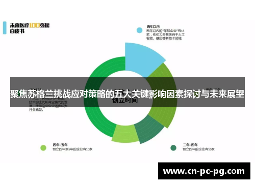 聚焦苏格兰挑战应对策略的五大关键影响因素探讨与未来展望