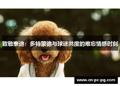 致敬泰迪：多特蒙德与球迷共度的难忘情感时刻