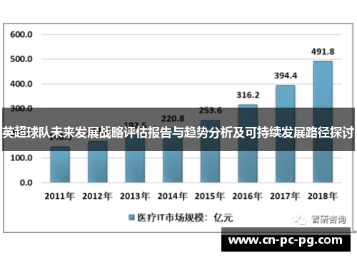 英超球队未来发展战略评估报告与趋势分析及可持续发展路径探讨